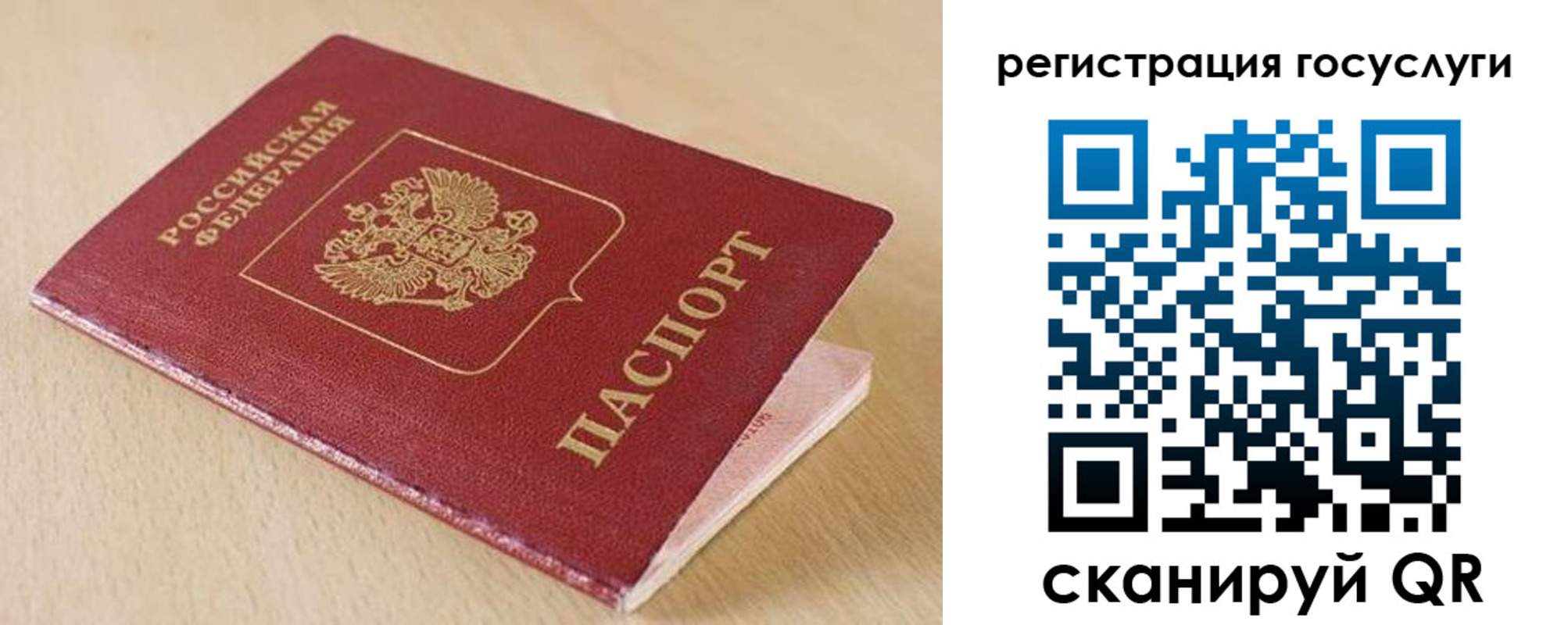 временная регистрация гарантия в Мурино