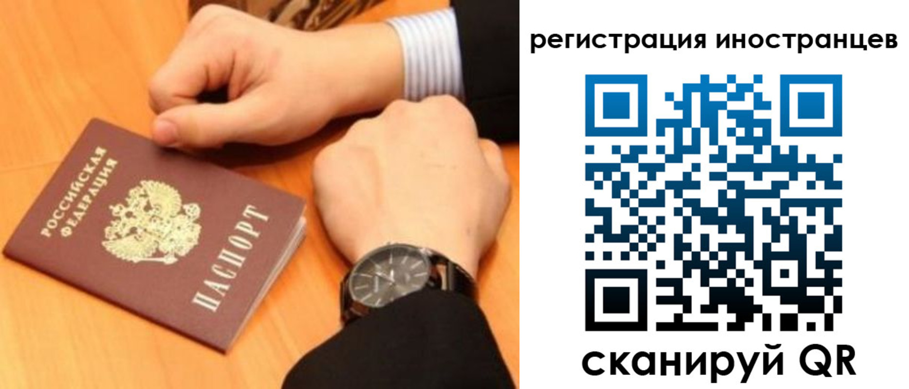 прописка гарантия в Мурино